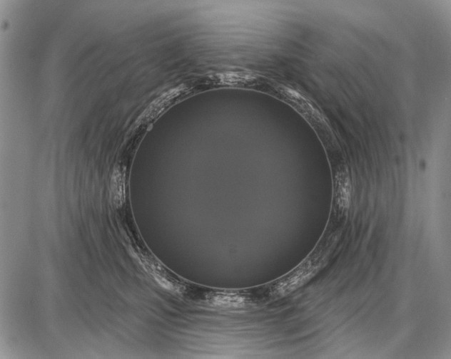 X0000087700471200705181824
