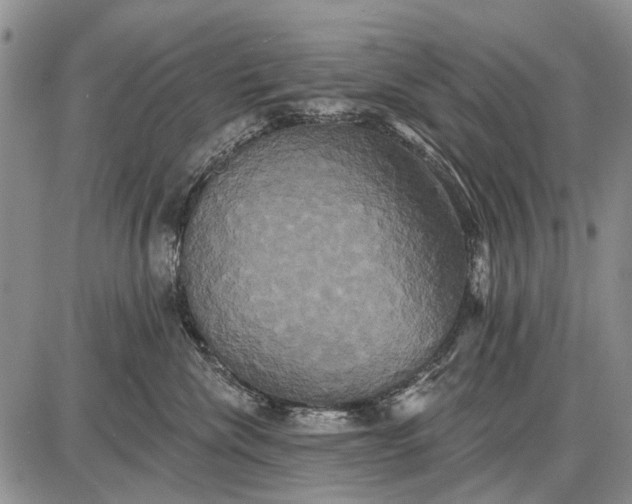 X0000087700476200705181824
