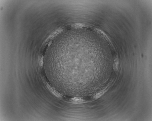X0000087700477200705181824