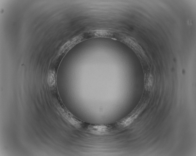 X0000087700478200705181824