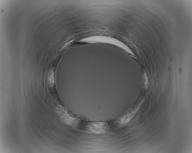 X0000087700479200705181824
