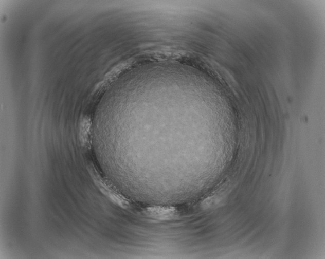 X0000087700480200705181824