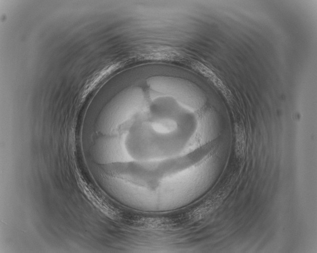 X0000087700482200705181823