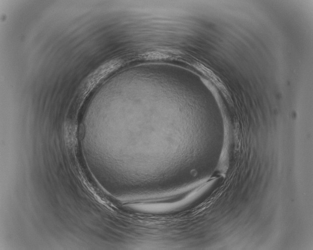 X0000087700485200705181823
