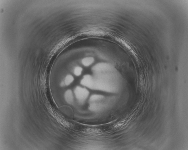 X0000087700487200705181823