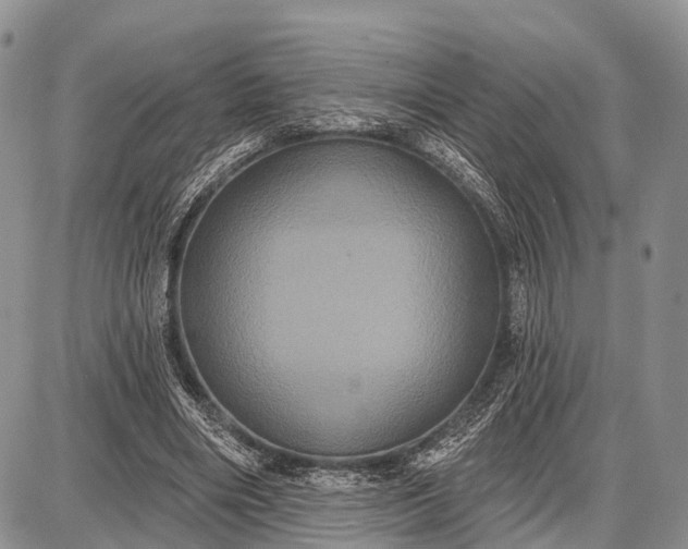 X0000087700490200705181823