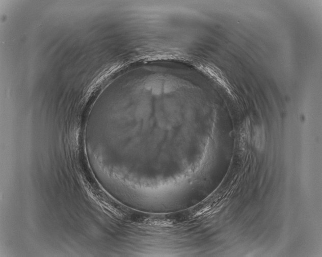 X0000087700491200705181823