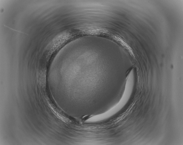 X0000087700493200705181823