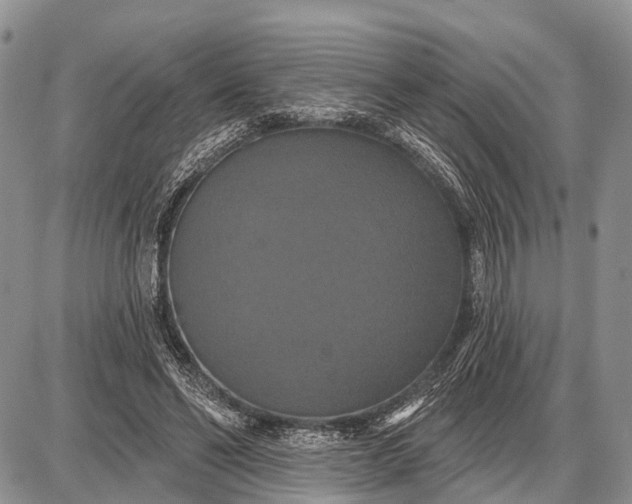 X0000087700494200705181823