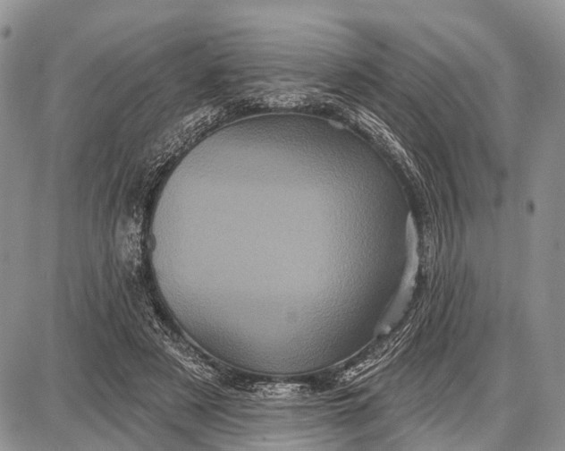 X0000087700497200705181823