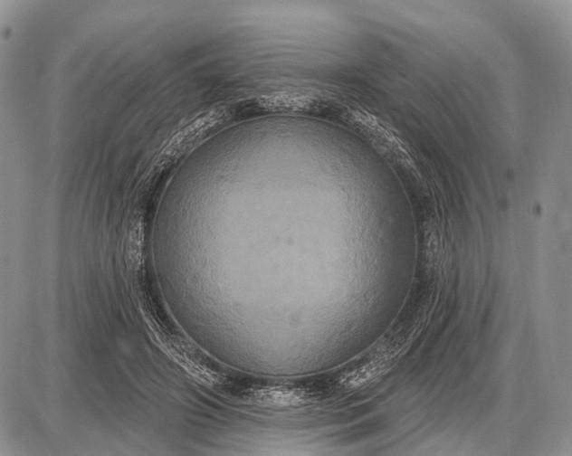 X0000087700498200705181823