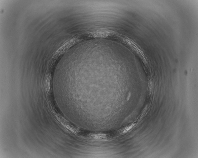 X0000087700501200705181823