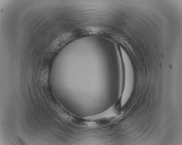 X0000087700509200705181823