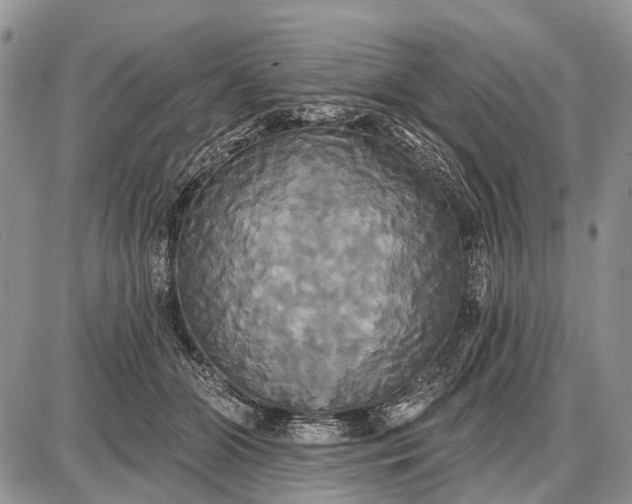 X0000087700510200705181823