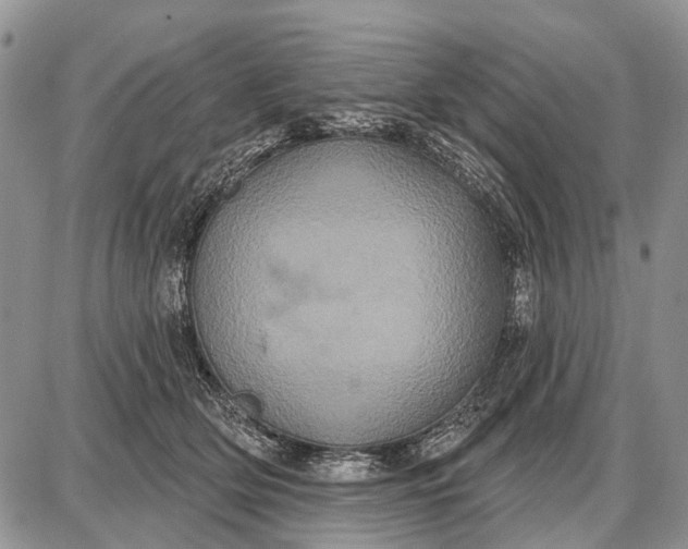 X0000087700514200705181823