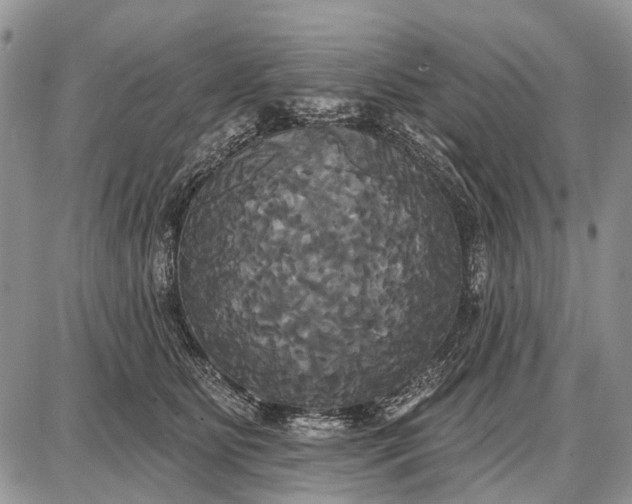 X0000087700515200705181823