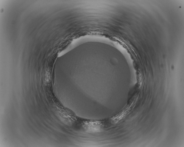 X0000087700517200705181823