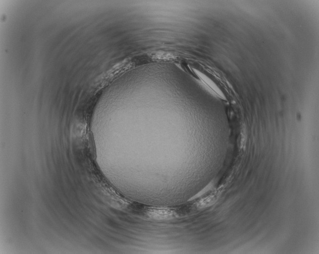 X0000087700521200705181823