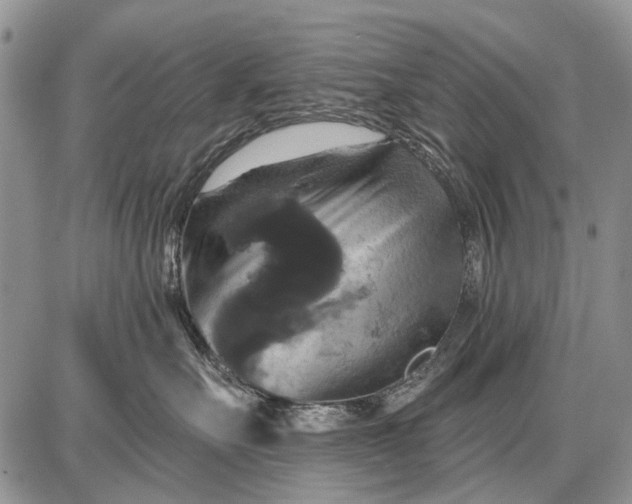 X0000087700527200705181823