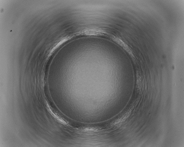 X0000087700530200705181822