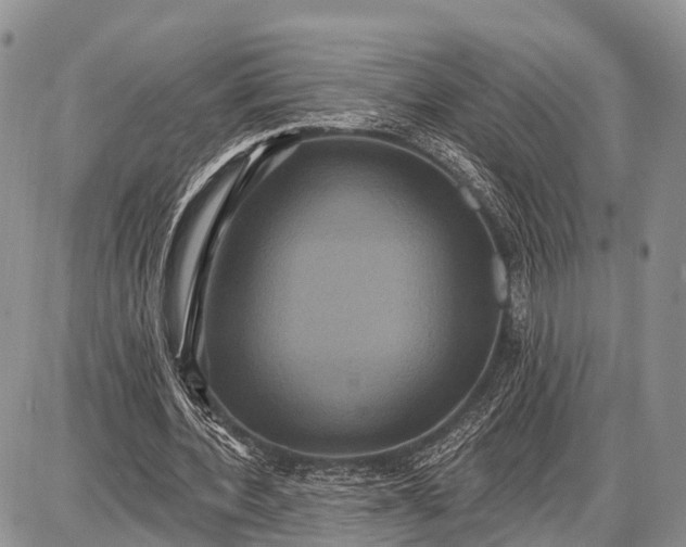 X0000087700532200705181822