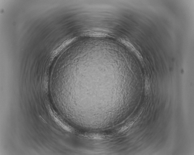 X0000087700533200705181822