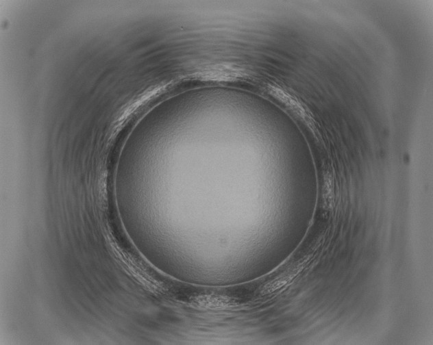 X0000087700535200705181822