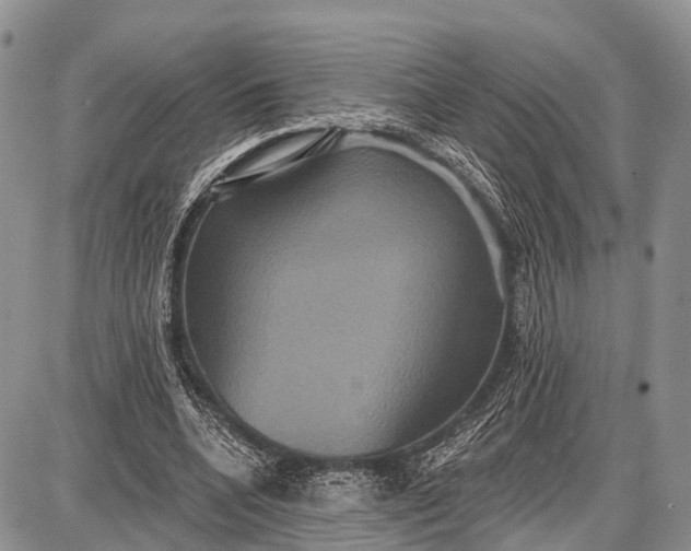 X0000087700536200705181822