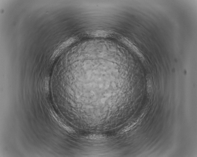 X0000087700537200705181822