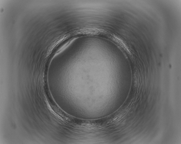 X0000087700538200705181822
