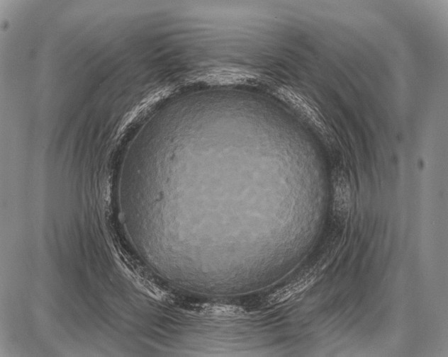 X0000087700539200705181822