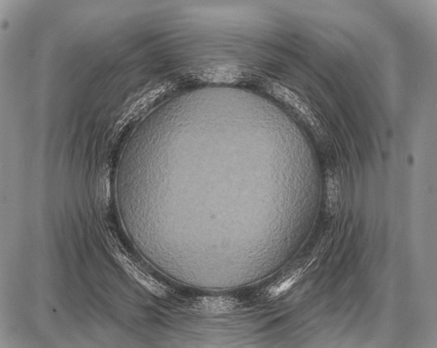 X0000087700541200705181822