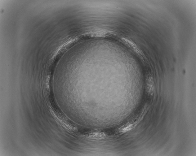 X0000087700543200705181822