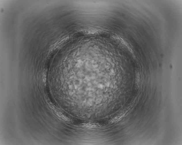 X0000087700545200705181822