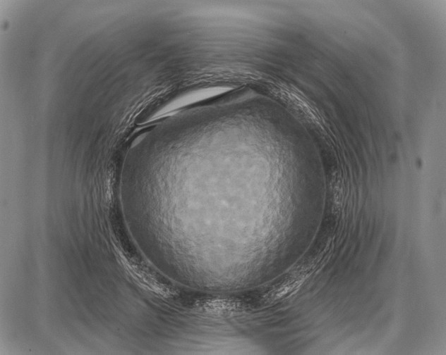 X0000087700546200705181822