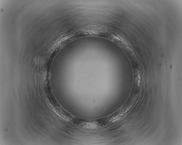 X0000087700548200705181822