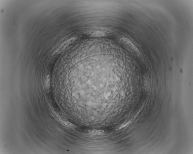 X0000087700549200705181822