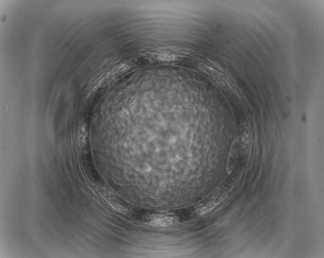 X0000087700555200705181822