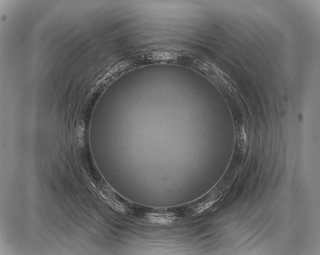 X0000087700556200705181822