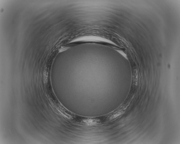 X0000087700558200705181822