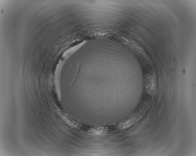 X0000087700563200705181822