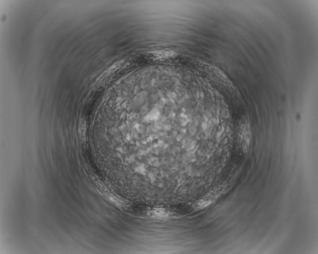 X0000087700565200705181822
