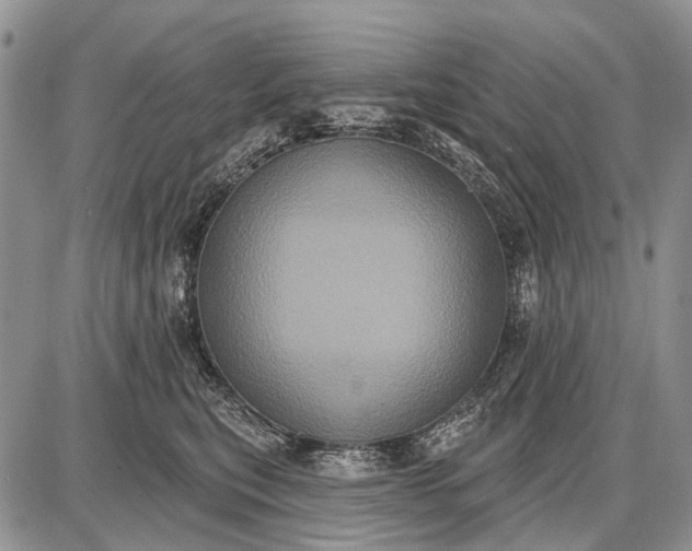 X0000087700567200705181822