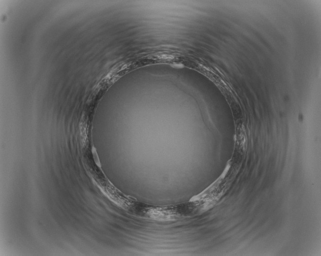 X0000087700568200705181822