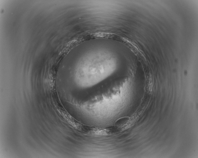X0000087700569200705181822