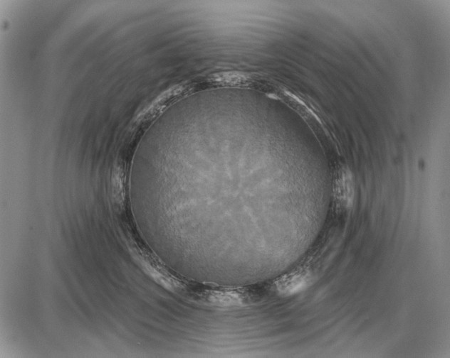 X0000087700572200705181822