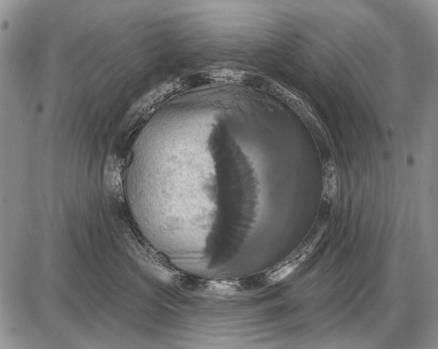 X0000087700573200705181822