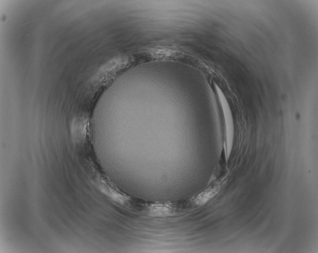 X0000087700574200705181823
