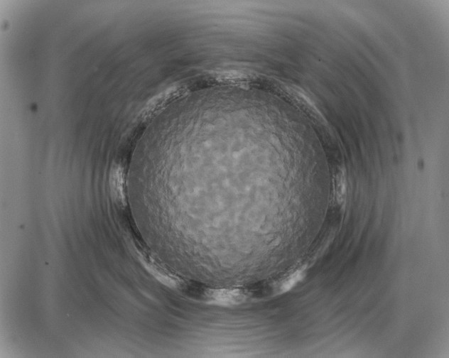 X0000087700575200705181823