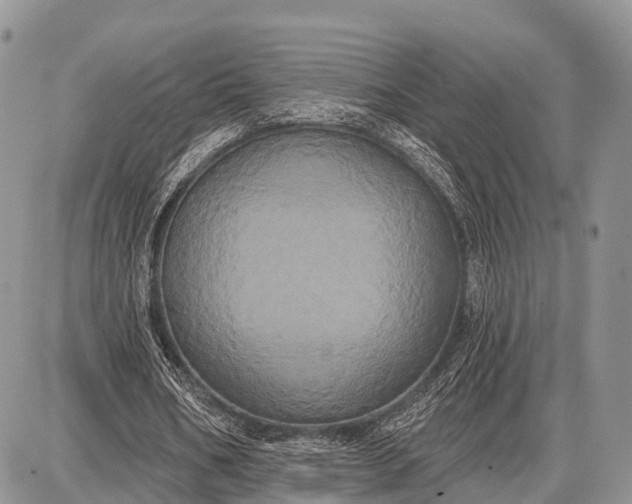 X0000087700578200705181822